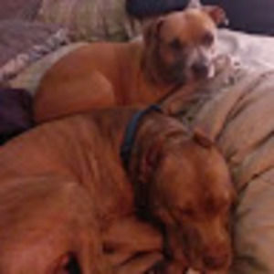 Meet your Posher, Meghan